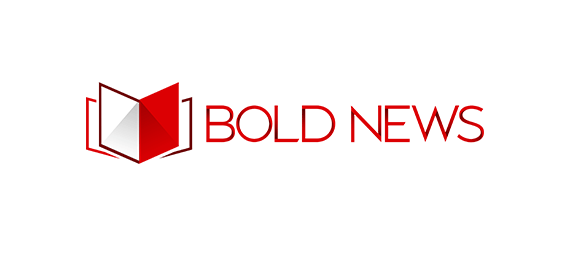 https://wp.pro-bautenschutz.de/wp-content/uploads/2016/07/logo-bold-news.png